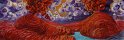 2007     VysocinaLandscape_300X100